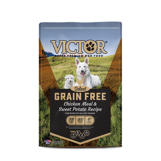 Victor Grain Free Chicken 5 lb Dog Food