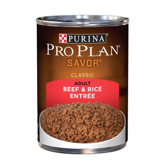 Pro Plan Adult Beef and Rice can 13oz