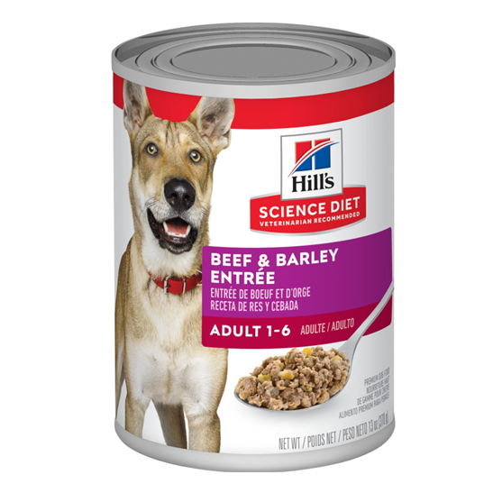 Science Diet Canine Maintenance Beef 13 oz Dog Food
