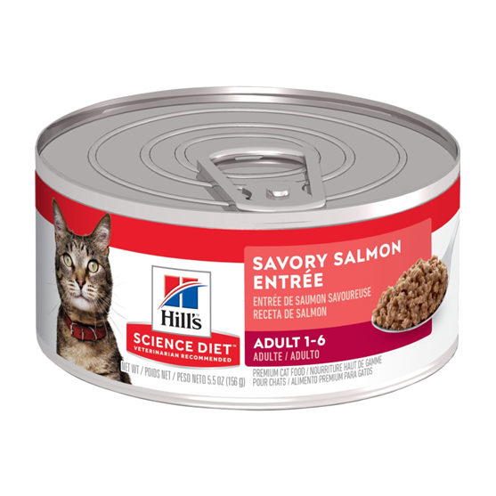 Science Diet Feline Adult Savory Salmon 5.5 oz Cat Food