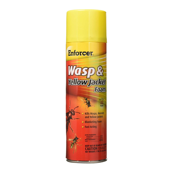 Wasp And Hornet Spray 17.5 oz