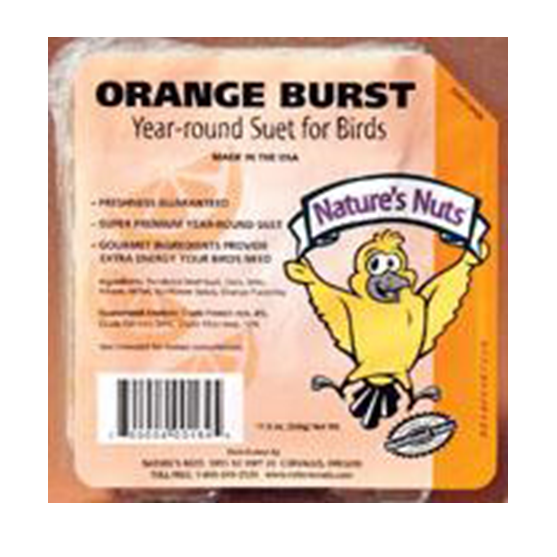 Nature's Nuts Orange Burst Suet