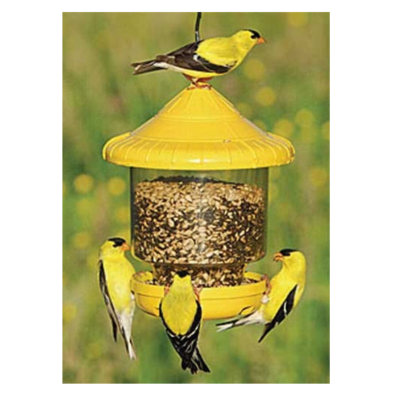 Songbirds Essentials Clingers Only Yellow