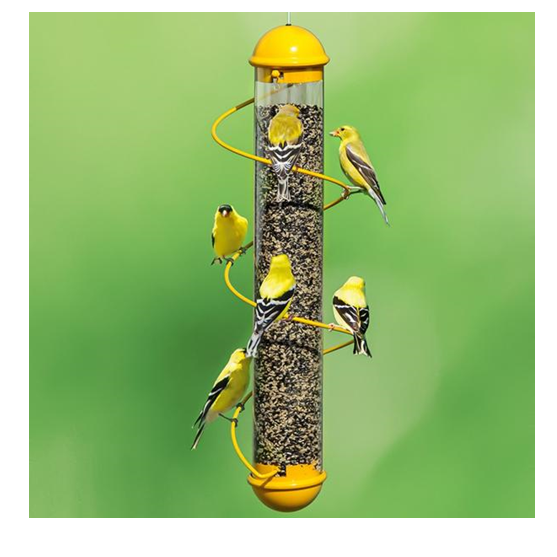 Songbird Essentials Spiral Finch Feeder Yellow 17"