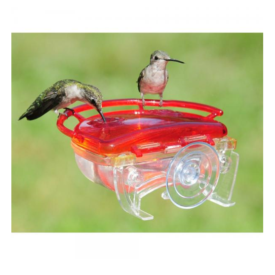 Aspects Feeders the Gem Window Hummingbird Feeder