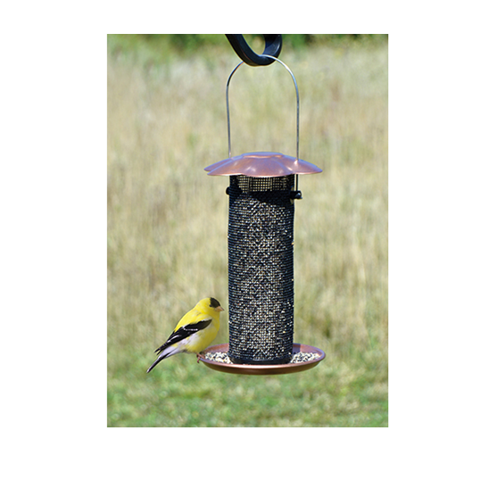 Songbird Essentials Petite Coppertop Thistle Feeder