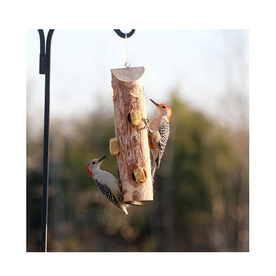 Songbird Essentials Cedar Select Suet Log