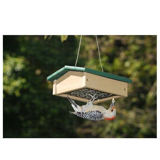 Songbird Essentials Upside-down Suet Feeder Hunter Drift