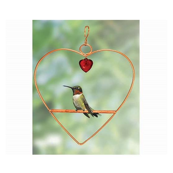 Songbird Essentials Tweet Heart Hummingbird Swing Copper