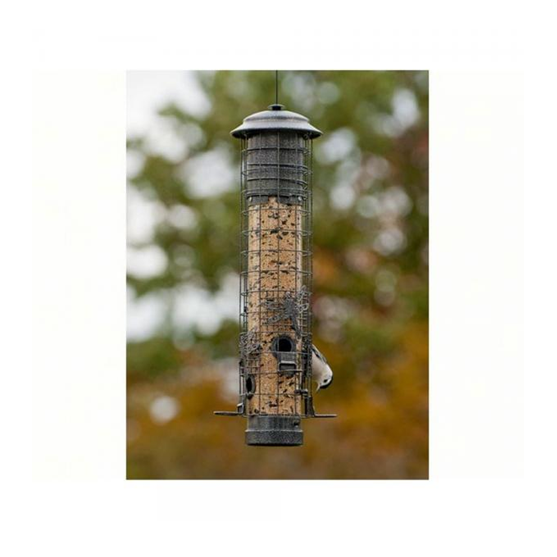 Woodlink Squirrel Proof Dragonfly Bird Feeder