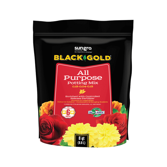 Black Gold 8qt Potting Soil