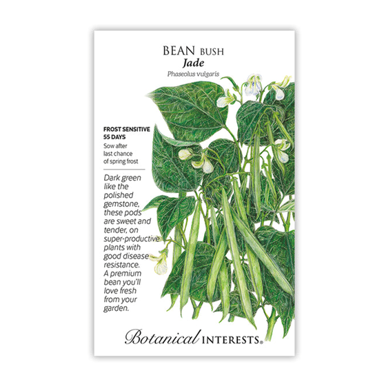 Botanical Interests Bush Beans Jade 50gm
