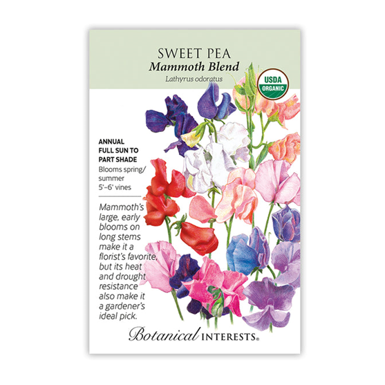 Botanical Interests Sweet Pea Mammoth Blend