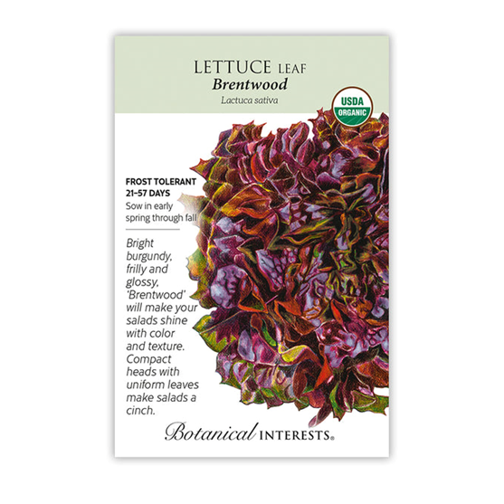 Botanical Interests Lettuce Brentwood