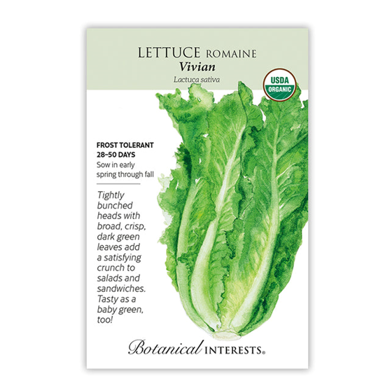 Botanical Interests Lettuce Romaine Vivian