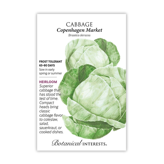 Botanical Interests Cabbage Copenhagen Market