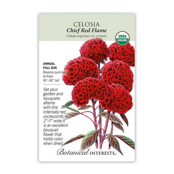 Botanical Interests Celosia Chief Red Flame