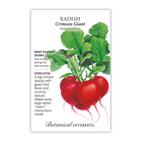 Botanical Interests Radish Crimson Giant