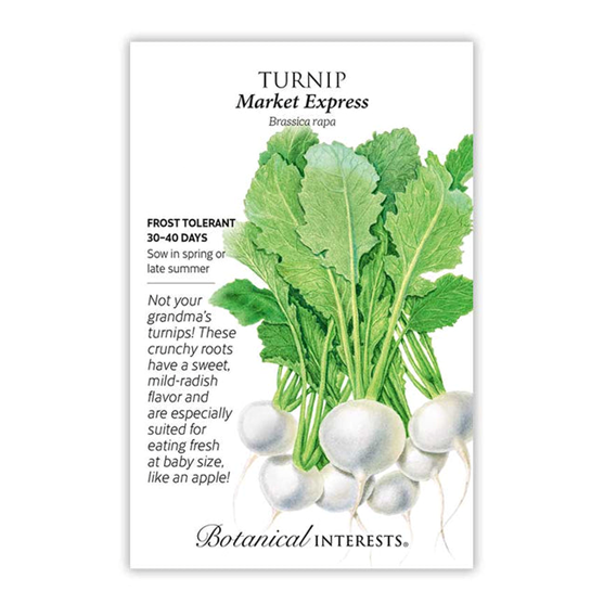 Botanical Interests Turnip Market Express