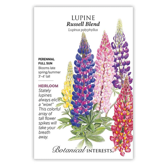 Botanical Interests Lupine Russell Blend