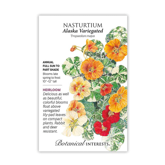 Botanical Interests Nasturtium Alaska Variegated