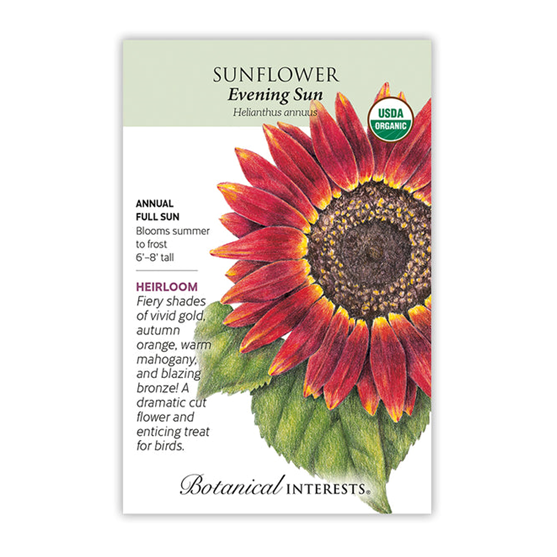 Botanical Interests Sunflower Evening Sun Organic