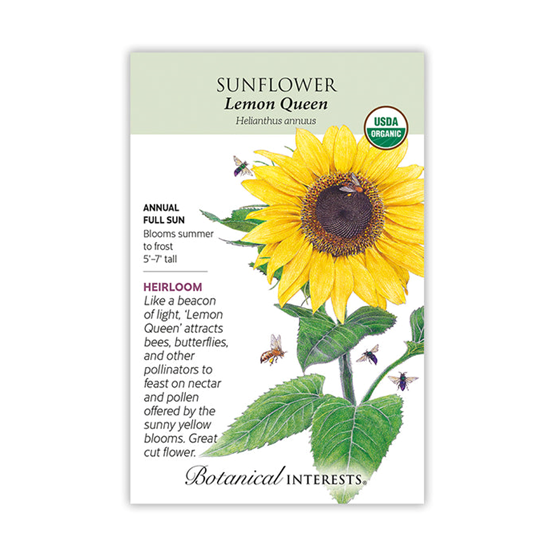 Botanical Interests Sunflower Lemon Queen Organic
