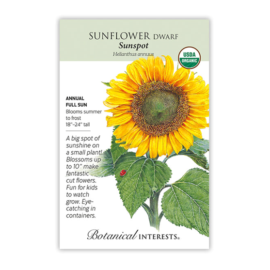 Botanical Interests Sunflower Sunspot Organic