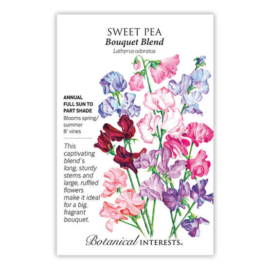 Botanical Interests Sweet Pea Bouquet Blend