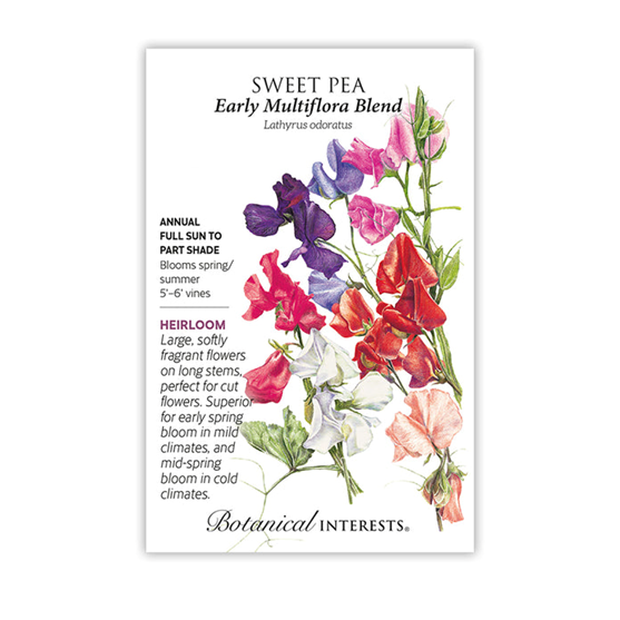 Botanical Interests Sweet Pea Early Multiflora