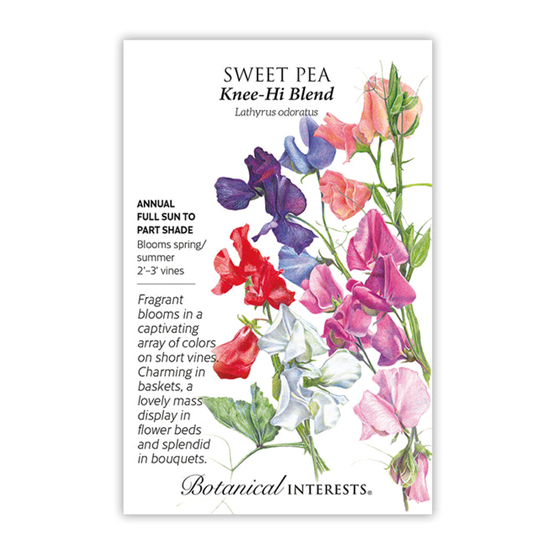 Botanical Interests Sweet Pea Knee High