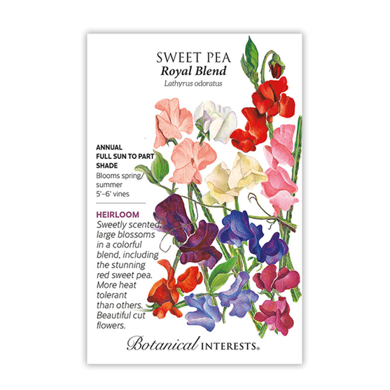 Botanical Interests Sweet Pea Royal Blend