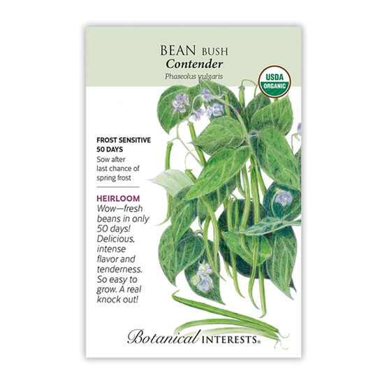 Botanical Interests Bean Bush Contender Organic
