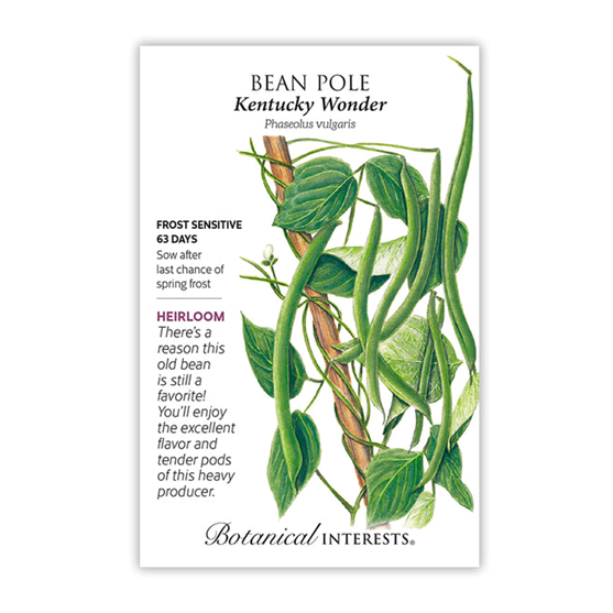 Botanical Interests Bean Pole Kentucky Wonder