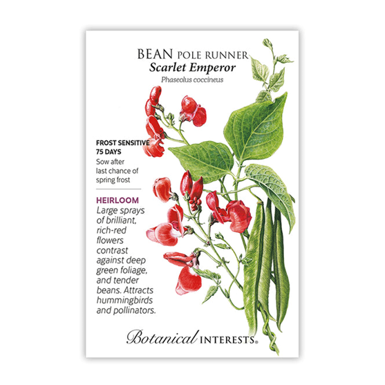 Botanical Interests Bean Runner Scarlet Emperor