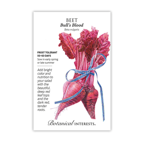 Botanical Interests Beet Bulls Blood