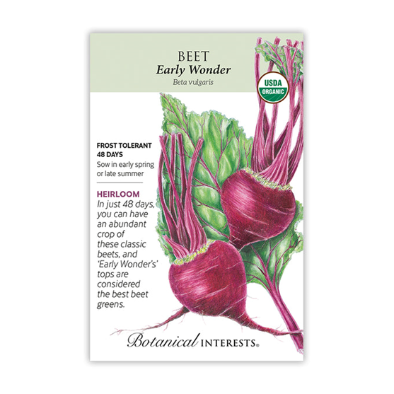 Botanical Interests Beet Early Wonder