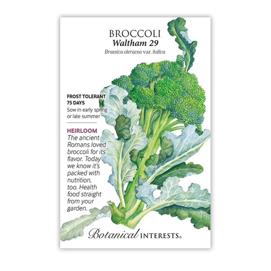 Botanical Interests Broccoli Waltham 29