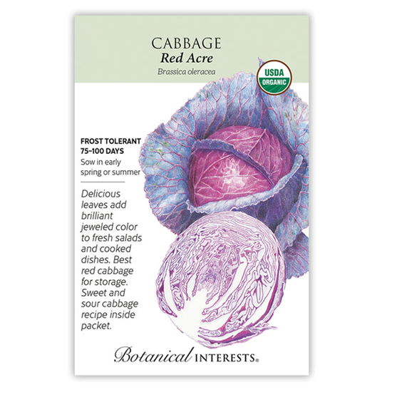 Botanical Interests Cabbage Red Acre