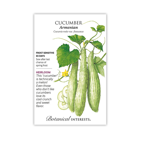 Botanical Interests Cucumber Armenian Burpless