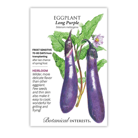 Botanical Interests Eggplant Long Purple