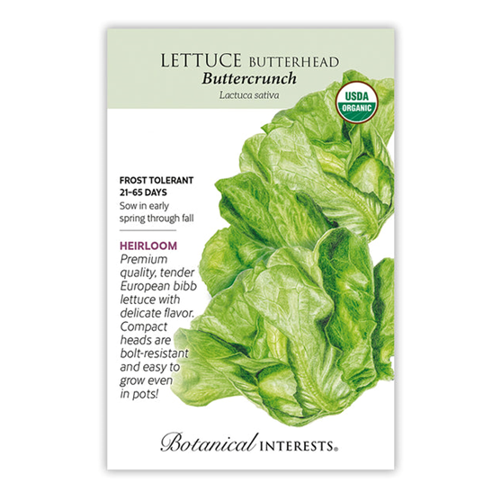 Botanical Interests Lettuce Butterhead Buttercrunch