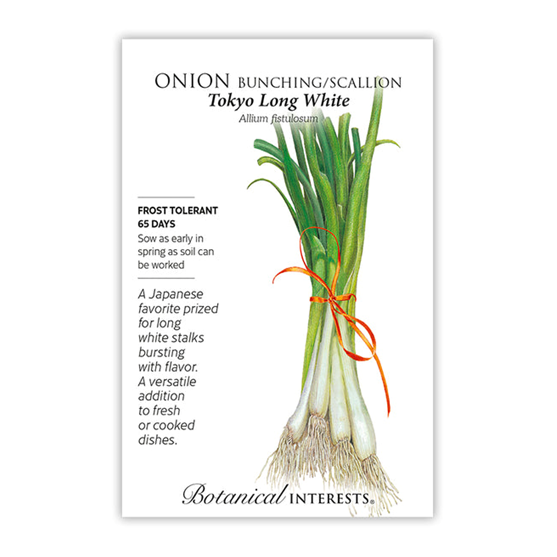 Botanical Interests Onion Bunching Tokyo Long White