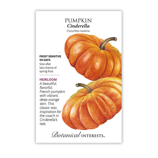 Botanical Interests Pumpkin French Cinderella