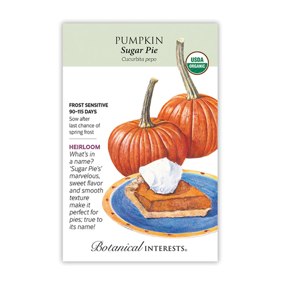Botanical Interests Pumpkin Sugar Pie Organic