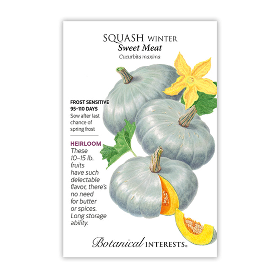 Botanical Interests Squash Winter Sweet Meat