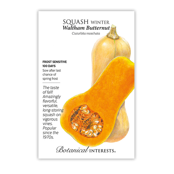 Botanical Interests Squash Winter Walthum Butternut