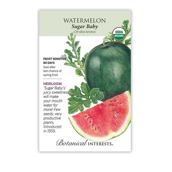 Botanical Interests Watermelon Sugar Baby Organic