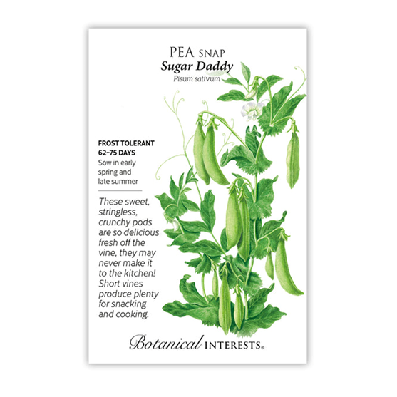 Botanical Interests Pea Snap Sugar Daddy