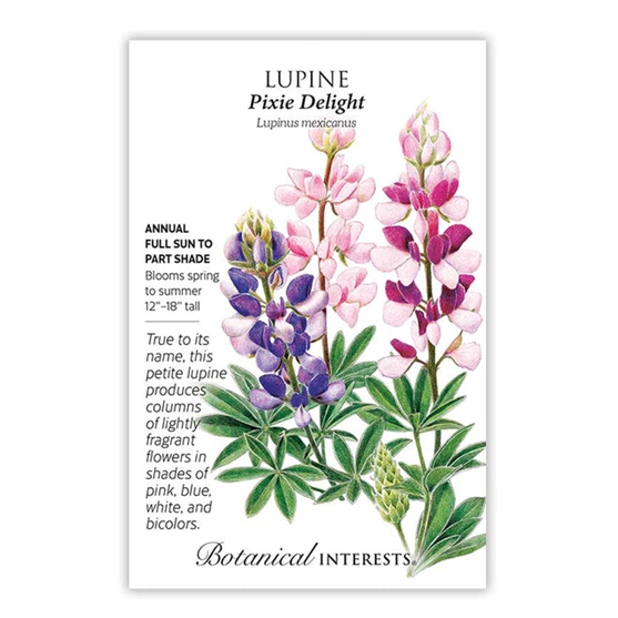 Botanical Interests Lupine Pixie Delight